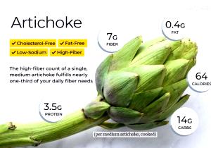 100 G Cooked Artichoke (Fat Not Added in Cooking)