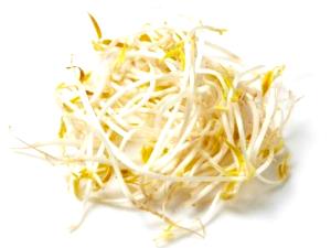 100 G Cooked Bean Sprouts (from Canned)