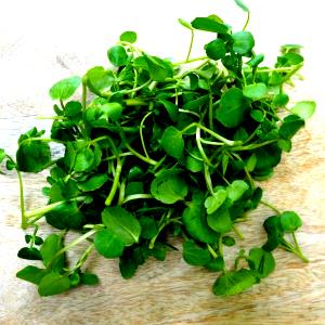 100 G Cooked Cress