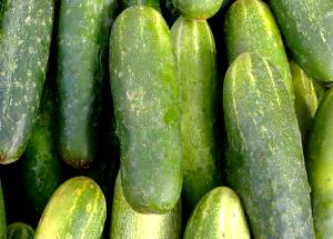 100 G Cooked Cucumber (Fat Not Added in Cooking)