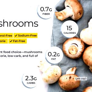 100 G Cooked Mushrooms (from Fresh, Fat Added in Cooking)