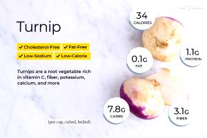 100 G Cooked Turnip (from Canned, Fat Not Added in Cooking)