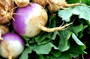 100 G Cooked Turnip Greens with Roots (from Fresh, Fat Not Added in Cooking)