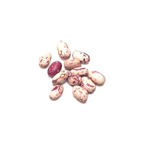 100 G Cranberry (Roman) Beans (Mature Seeds, Without Salt, Cooked, Boiled)