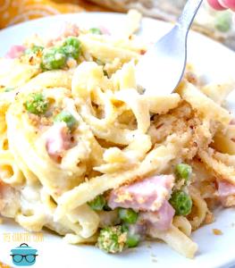 100 G Ham and Noodles with Cream or White Sauce (Mixture)