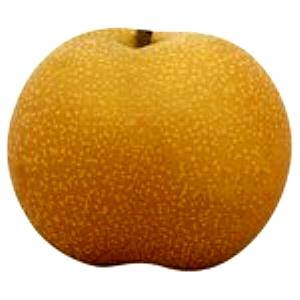 100 G Japanese Pear