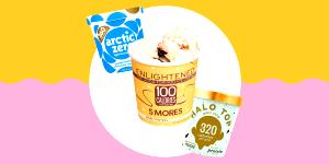 100 G Light Ice Cream (Flavors Other Than Chocolate)