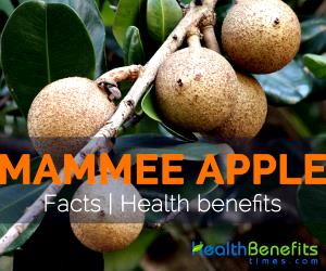 100 G Mammy-Apple (Mamey)