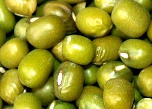 100 G Mung Beans (Mature Seeds, Sprouted, Drained Solids, Canned)