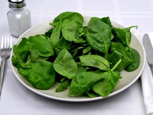 100 G Mustard Greens (with Salt, Drained, Cooked, Boiled)