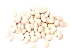 100 G Navy Beans (Mature Seeds, with Salt, Cooked, Boiled)