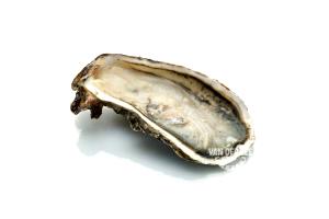 100 G Pacific Oyster