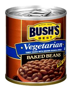 100 G Plain or Vegetarian Baked Beans (Canned)