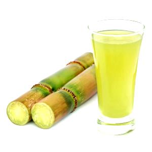 100 G Puerto Rican Sugar Cane Beverage