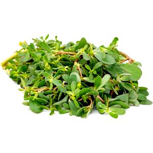 100 G Purslane