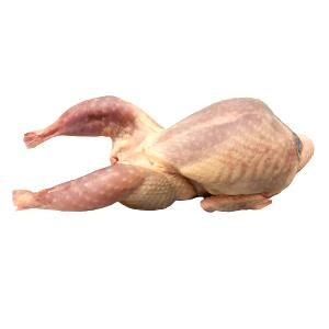 100 G Quail Meat