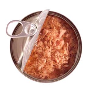 100 G Tuna in Water (Canned)