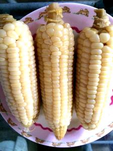 100 G White Sweet Corn