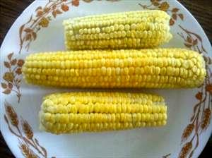 100 G Yellow Sweet Corn (Kernels On Cob, Without Salt, Frozen, Drained, Cooked, Boiled)