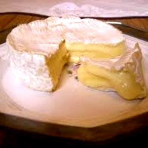 100 Grams Cheese, Camembert, Fat 38%