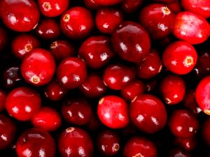 100 Grams Cranberry, Low Bush Or Lingenberry, Raw