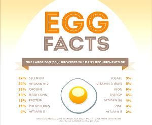 100 Grams Egg White, Dried, Sodium Lauryl Sulfate