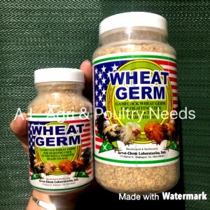 100 Grams Wheat Germ