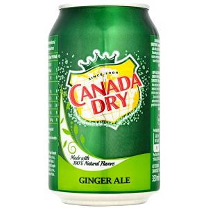 100 Ml Ginger Ale