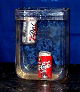 14 oz (348 g) Diet Coke Float/Blended Float (Regular)