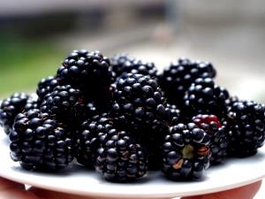 2/3 cup (85 g) Blackberries