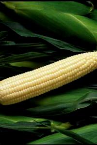 2/3 cup (89 g) Silver Queen Style Corn