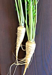 2/3 Cup Parsley Root