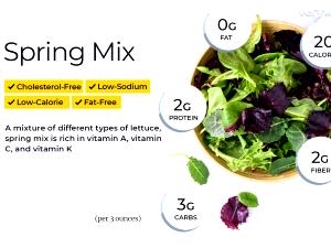 2 cups Spring Mix Salad