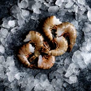 2 oz Frozen Tiger Shrimp