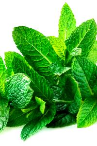 2 Tbsp Spearmint Leaf, Fresh