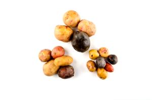 3 1/2 potatoes (148 g) Fingerling Potatoes