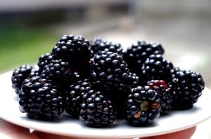 3/4 cup (140 g) Blackberries