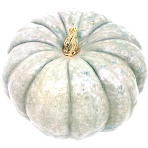 3/4 cup (85 g) Australian Blue Squash