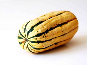 3/4 Cup Squash, Delicata