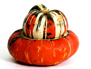 3/4 Cup Turban Squash