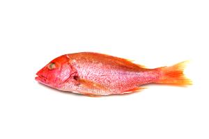 3 oz (85 g) Caribbean Red Snapper