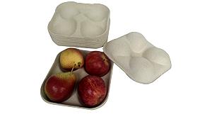 4 oz (113 g) Apple Tray