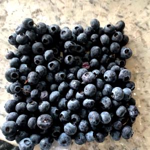 50 Berries Blueberry, Raw