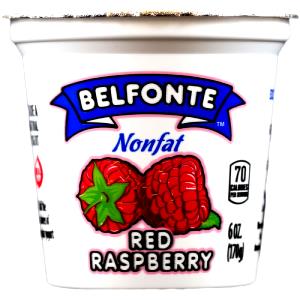 6 Oz Nonfat Raspberry Yogurt