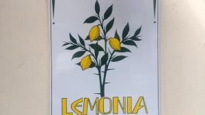 6 pieces (20 g) Lemonia