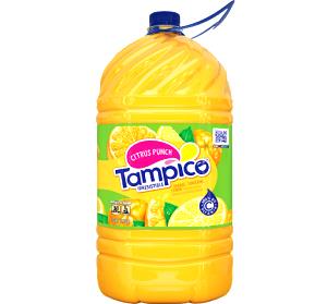 8 fl oz (240 ml) Citrus Punch Drink